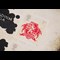 Harry Potter Heat Sensitive Stamps Gryffindor