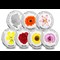 Garden Flower 10p set reverses