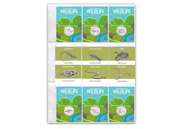 Reptiles 10Ps BU (Non Coloured) Pocket Page