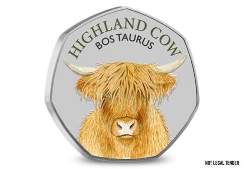 DN 2023 Wild Britian Collection Highland Cow Starter Product Images 1