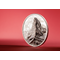 Matterhorn Lifestyle (2)