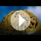 N&T Video