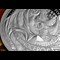 The Big Five Of Africa Silver Coins Lifestyle 05