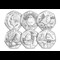 2025 Christmas Robin BU 50P Set ALL REV (With Obv)