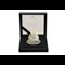 ZSL 2 Pound Coin Images AT 9