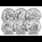 All Coins Product Image 1